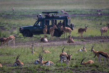 מלון מסאי מארה Elewana Sand River Masai Mara מראה חיצוני תמונה